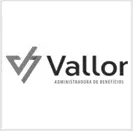 Vallor Administradora