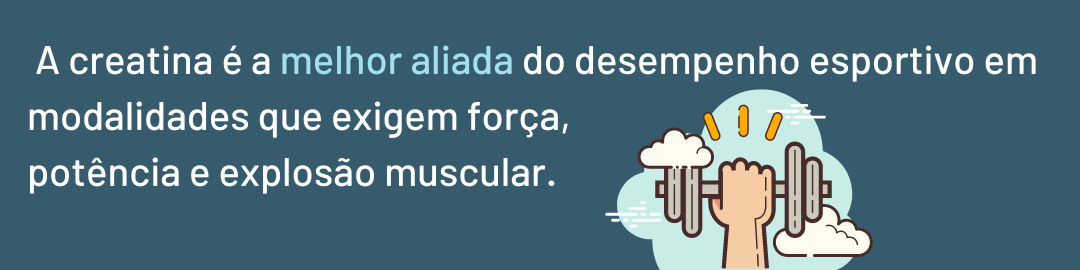 creatina e musculação