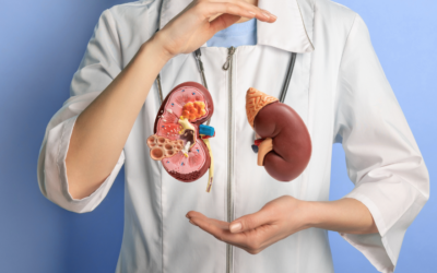 Como está a sua saúde renal? Faça o checklist!