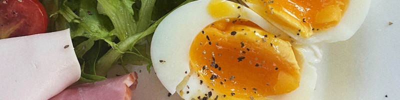 Afinal, ovo é a melhor proteína Afinal, ovo é a melhor proteína