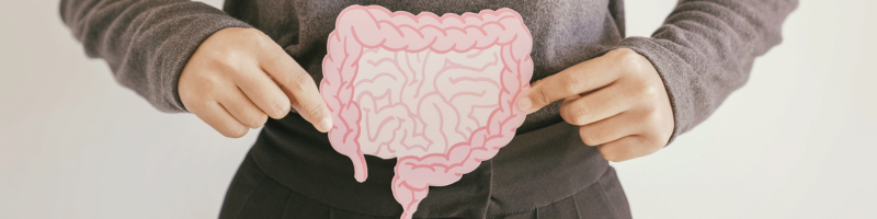 O intestino e o cérebro estão mais conectados do que você imagina O intestino e o cérebro estão mais conectados do que você imagina