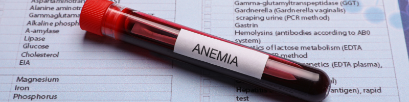 O que é anemia perniciosa