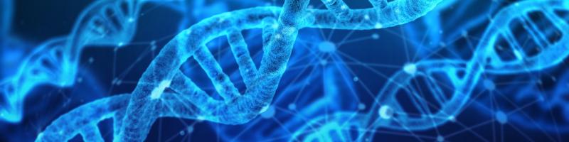 O que significa ter predisposição genética O que significa ter predisposição genética