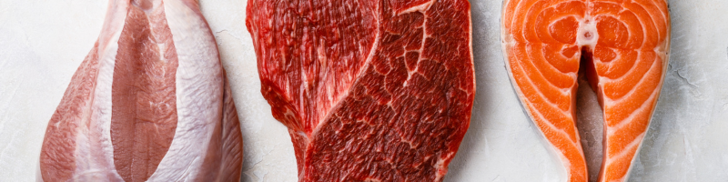 Ovo é melhor que carne, frango ou peixe Ovo é melhor que carne, frango ou peixe